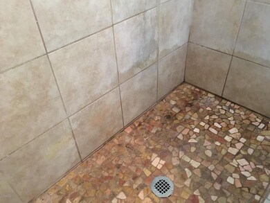 Master Shower