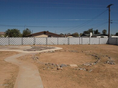 back yard