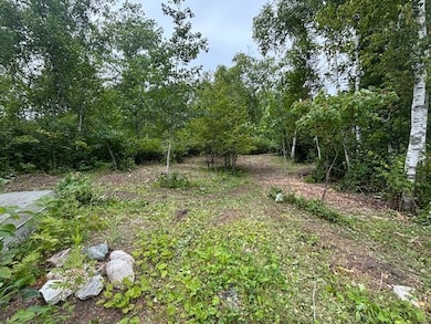 TBD Andrus Lake Trail NE, Crooked Lake Township, MN 56662 - photo 4