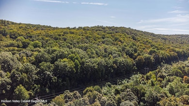 22 Old State Route, Amenia, NY 12501 - photo 5