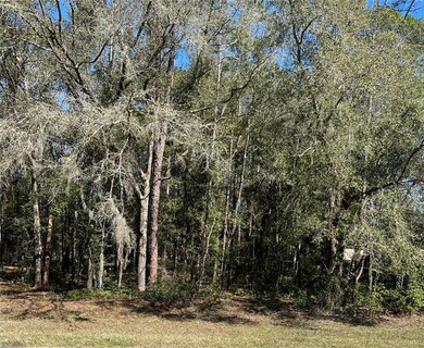 00 SW 102 Street Rd, Dunnellon, FL 34431 - photo 3