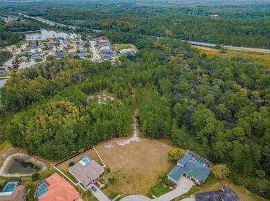 0 Shooting Star Ct, Riverchase, FL 34655 - photo 5