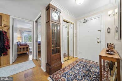 7332 Tavenner Ln unit 3B, Alexandria, VA 22306 - photo 6