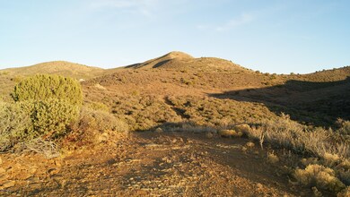 DSC03678