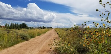 20190910_151401