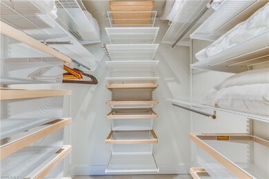 Professionally designed walk in closet