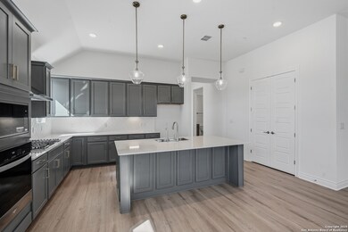 117 Merry Calf Ln, Boerne, TX 78006 - photo 3