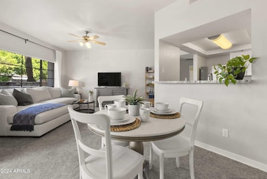 Open Concept