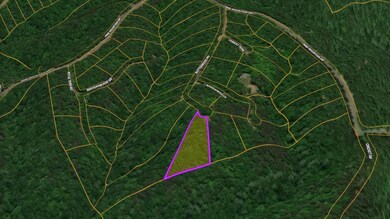 0 Buttonwood Rd unit 25554474, Connelly Springs, NC 28612 - photo 4