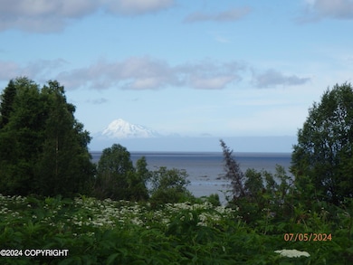 P7051245