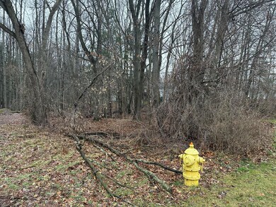 D01A9B1C-F0DD-48D7-989F-730CABB7DB12