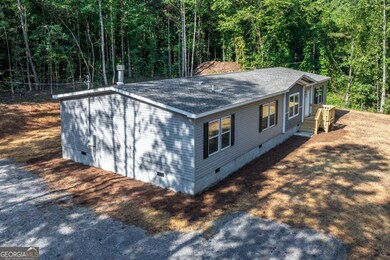 10209 Kelly Bridge Rd, Dawsonville, GA 30534 - photo 6
