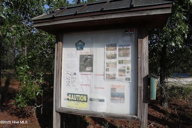Trail 1