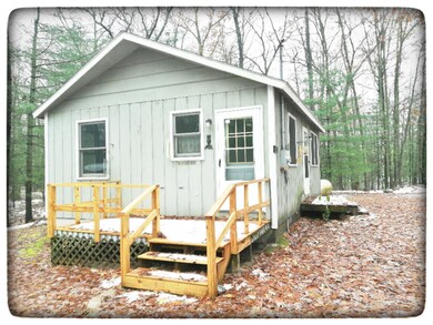 2301 Lincoln St, Bitely, MI 49309 - photo 3