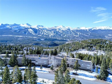 187 N Fuller Placer Rd unit D, Breckenridge, CO 80424 - photo 4
