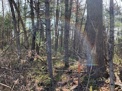 V/L S Rd, Baldwin, MI 49304 - photo 2