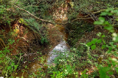 7004 Mountain View Rd, Taylors, SC 29687 - photo 2