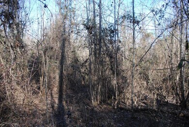 15 Gordon Pond Rd, Lafayette, GA 30728 - photo 4