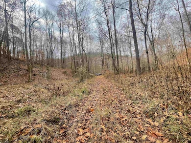 TBD Sand Fork Rd, Walkersville, WV 26447 - photo 5