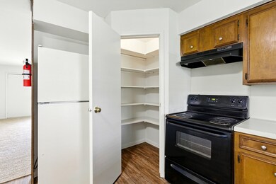  Spacious Pantry with Shelving