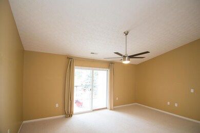 Contemporary Fan