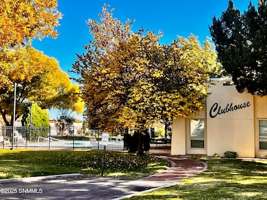 905 W Conway Ave unit 41, Las Cruces, NM 88005 - photo 2