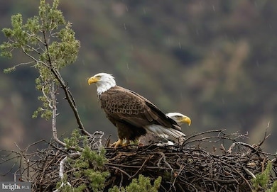 614 Graystones Jeras Rd Lot Hv-3, Albrightsville, PA 18210 - photo 4