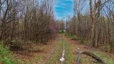Drone Road 1
