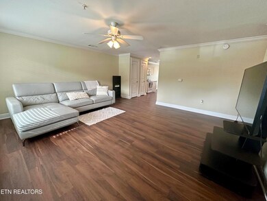 Living Room 4