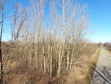 TBD E Main St, Maple Rapids, MI 48853 - photo 3