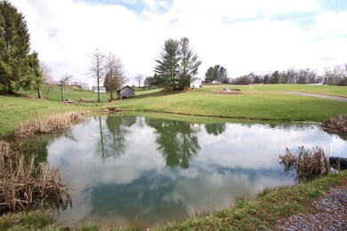 Pond