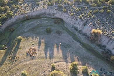 0 State Road 341 unit 20256526, Petaca, NM 87554 - photo 2