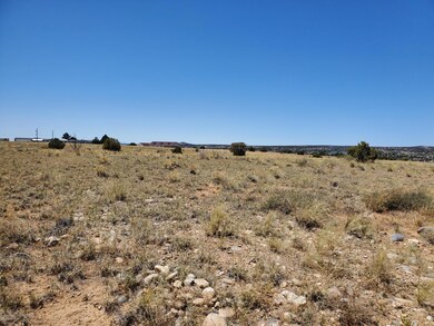 XXX Road 3950, Farmington, NM 87401 - photo 5