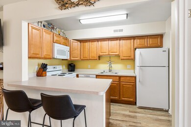 14301 Tunnel Ave unit 3B, Ocean City, MD 21842 - photo 3