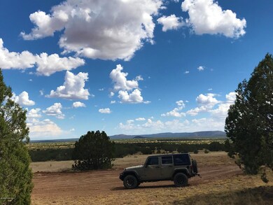 70 Off of Rawhide Ranch Rd, Ash Fork, AZ 86320 - photo 2