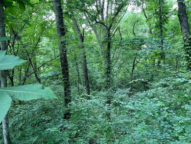 15 550n Ave, Timewell, IL 62375 - photo 7