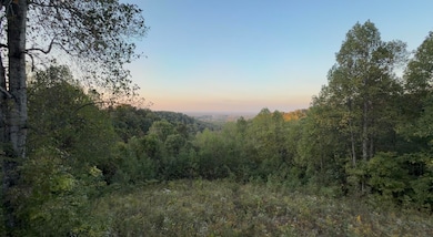 1570 Highway 3249 unit b, Stanford, KY 40484 - photo 5