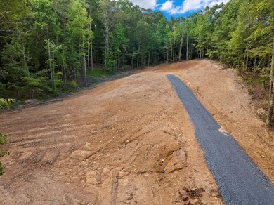 1023 Keith Salem Rd, Ringgold, GA 30736 - photo 4