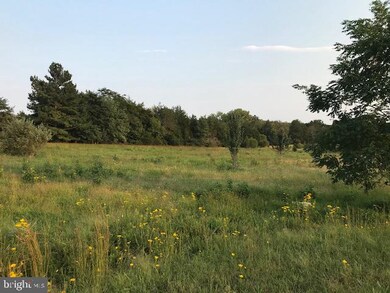 15570 Vint Hill Rd, Gainesville, VA 20155 - photo 2