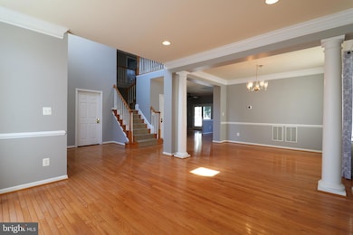 25497 Carrington Dr, Chantilly, VA 20152 - photo 4