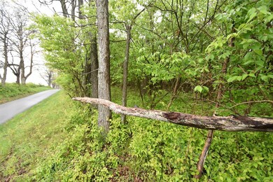 Tract 3 at Dean Rd, Harrodsburg, KY 40330 - photo 2