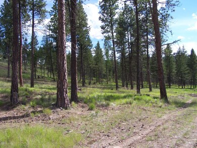 Nhn Tranquil Valley Trail, Kila, MT 59920 - photo 4