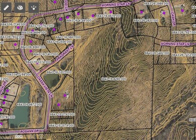 Topo Map - 2 ft Contours