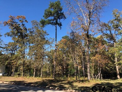 2035 Stonegate Valley Dr, Tyler, TX 75703 - photo 2