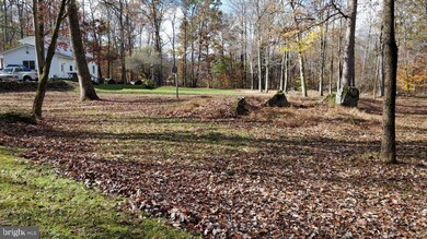 1970 Old Woods Rd, Green Lane, PA 18054 - photo 7