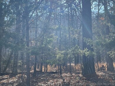 327 Bailey Blvd, Tahlequah, OK 74464 - photo 4