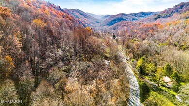 1224 Highway 25, Lafollette, TN 37766 - photo 4