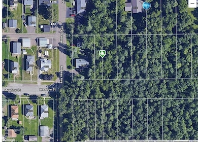 XXXX Meadow St, Duluth, MN 55810 - photo 2