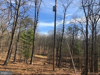 28 Robin Wood Way, Gore, WV 26704 - photo 6