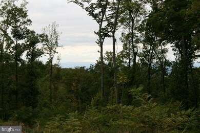 4 Blueridge Mtn Rd, Bluemont, VA 20135 - photo 4